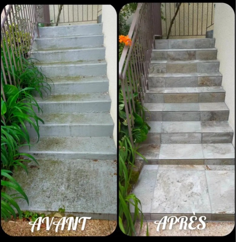 Escalier extérieur en pierre avant et après démoussage