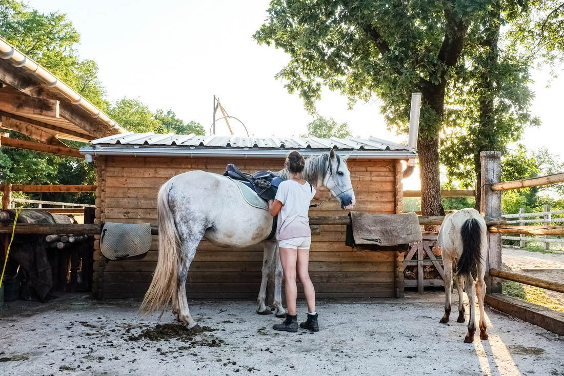 Enfant au contact d'un cheval blanc devant le chalet club-house