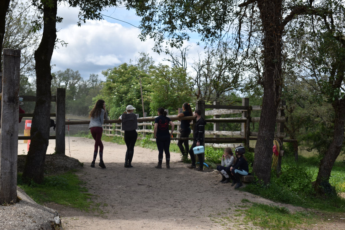 Abords de la ferme et paddocks bordés d'arbres, au cœur du hameau
