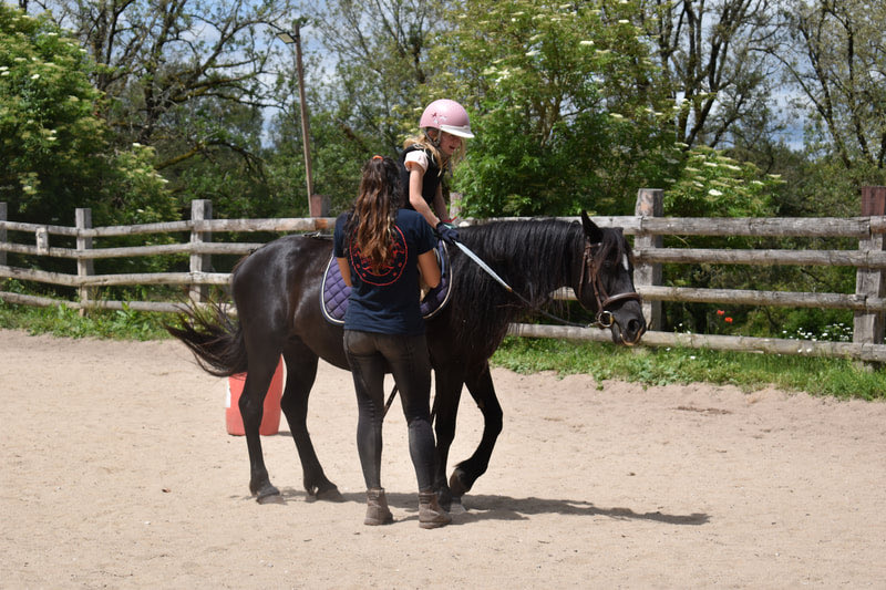 Jeune cavalière travaillant son cheval dans la carrière en sable de la ferme