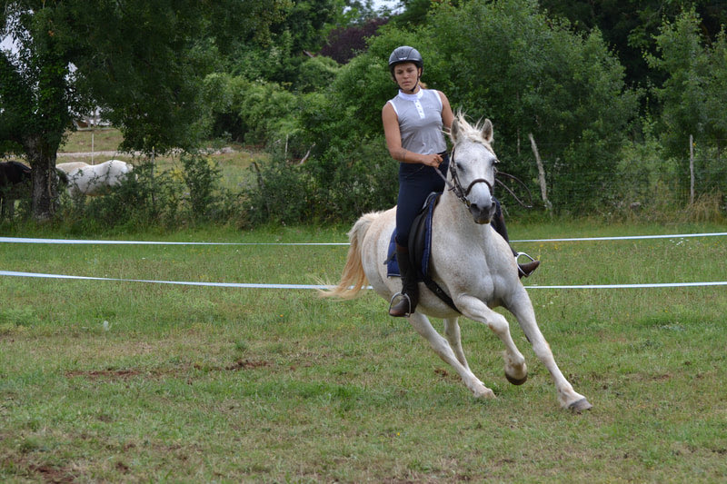 Cavalière au galop sur un cheval gris dans une prairie
