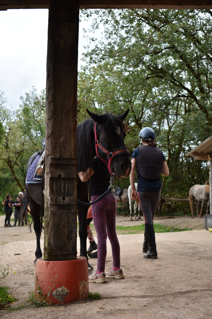 Cavaliers préparant et pansant leurs chevaux sous l'aire de pansage couverte