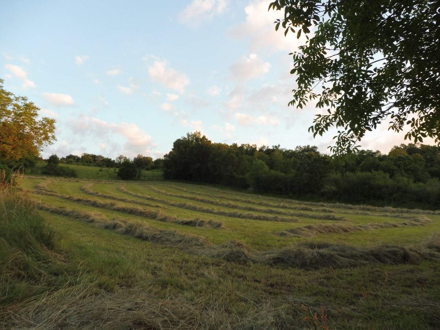 Paysage de prairies et de bois des Causses du Quercy sous un grand ciel