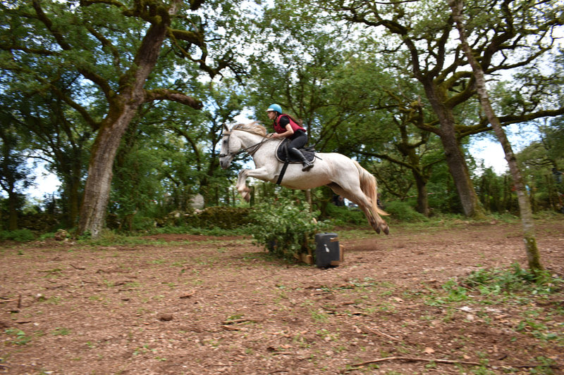Cheval et cavalier franchissant un obstacle du parcours de cross