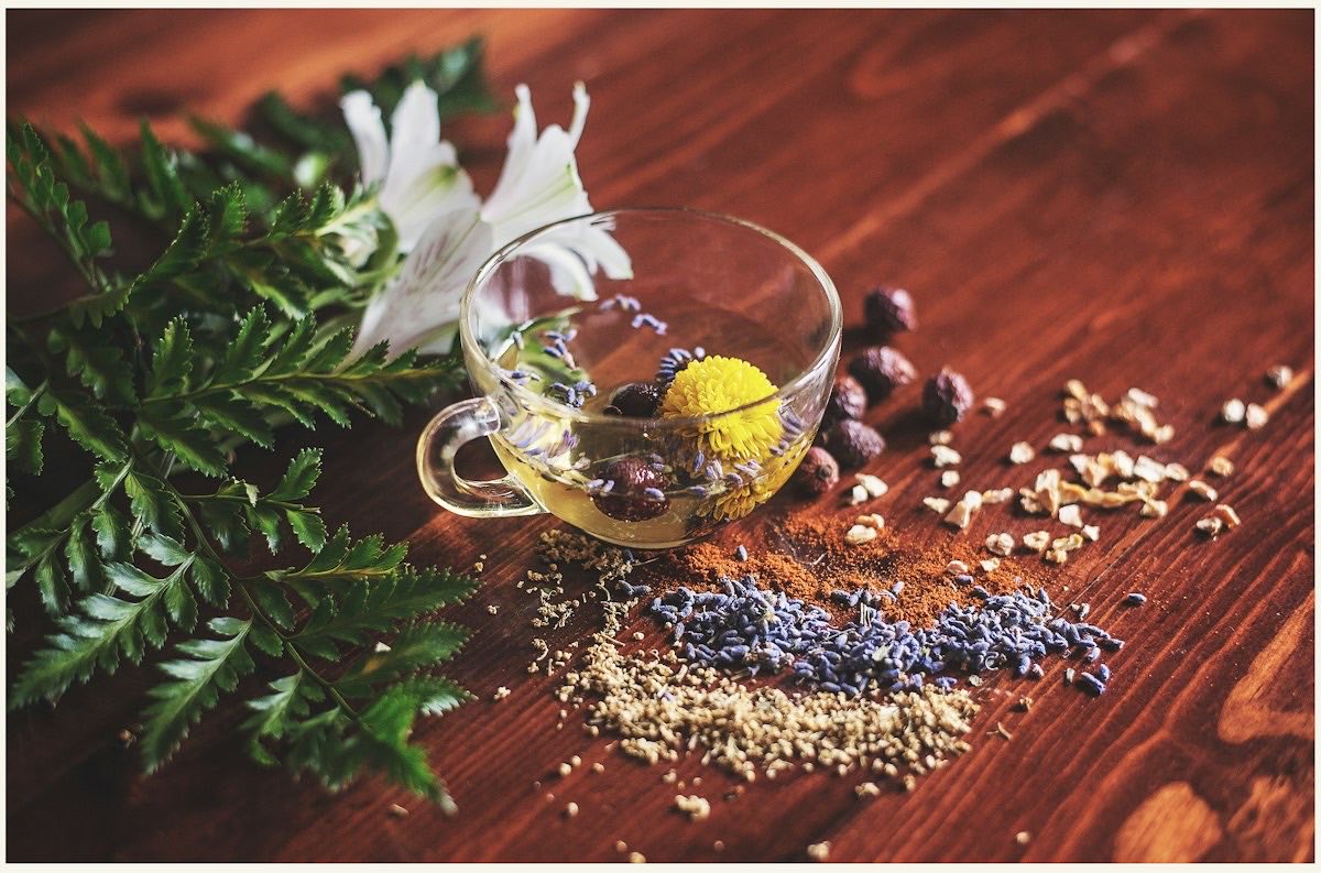 Tisane de plantes, fougère et lavande séchée disposées sur une table en bois