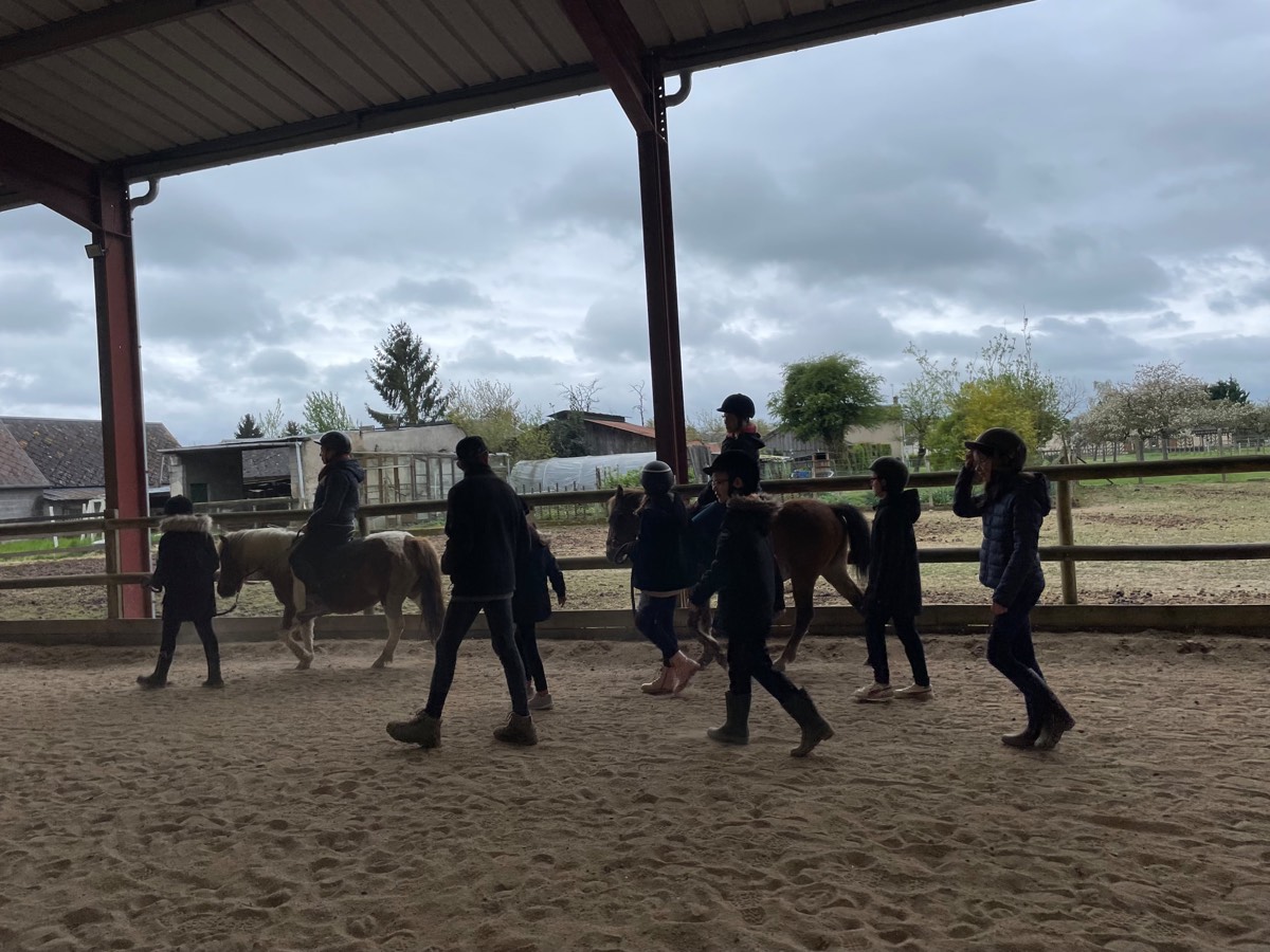 Groupe de cavaliers rassemblés autour d'un cheval sous le manège couvert