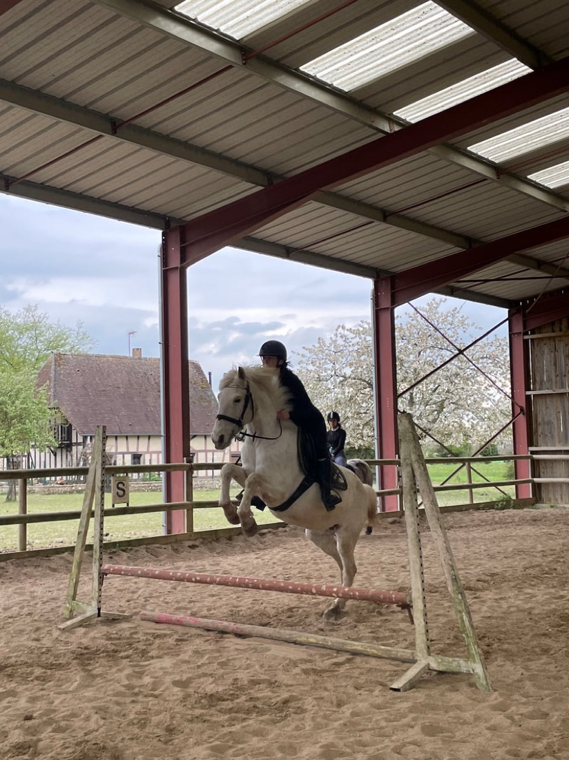 Cavalière franchissant un obstacle lors d'un cours de saut aux Écuries Évasions