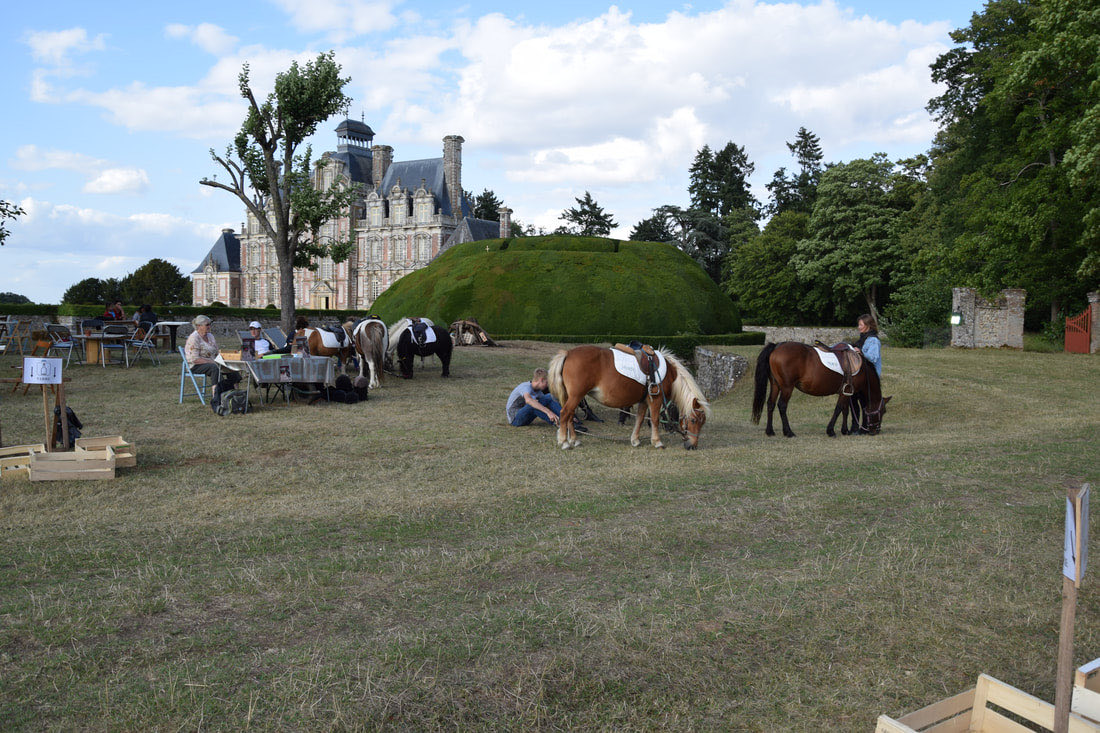 Chevaux et calèche installés dans le parc du château de Beaumesnil lors des nocturnes