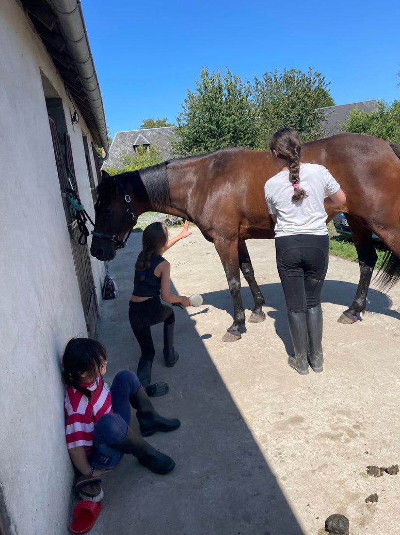 Enfants s'occupant d'un poney pendant un stage aux Écuries Évasions