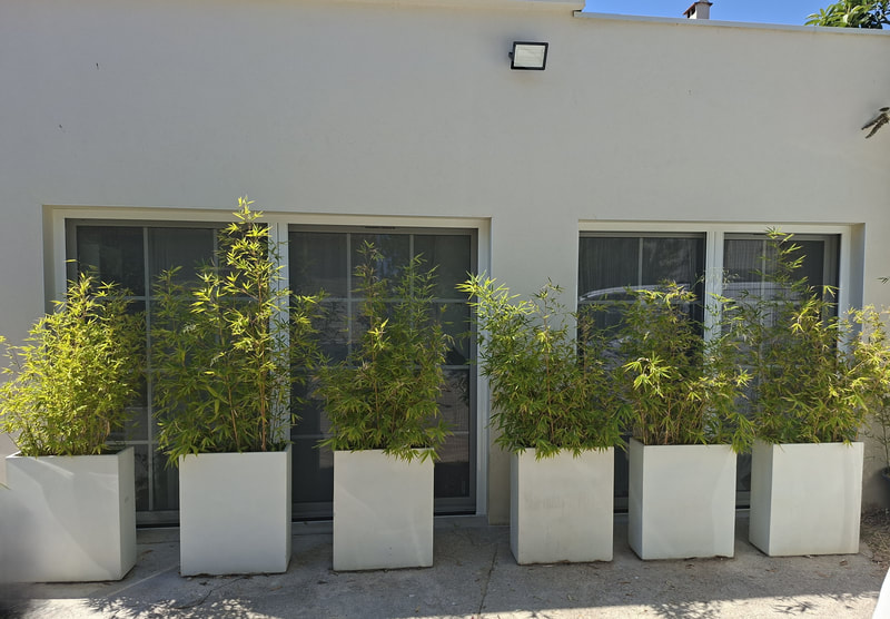 Baies vitrées équipées de moustiquaires sur une villa dans le secteur de Gignac