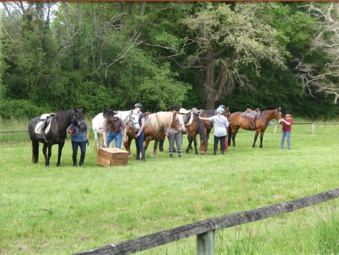 Groupe de cavaliers préparant les chevaux dans la prairie du Ranch M