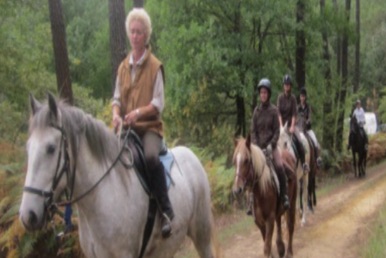 Chevaux et cavaliers sur un chemin ombragé de la forêt sud-girondine